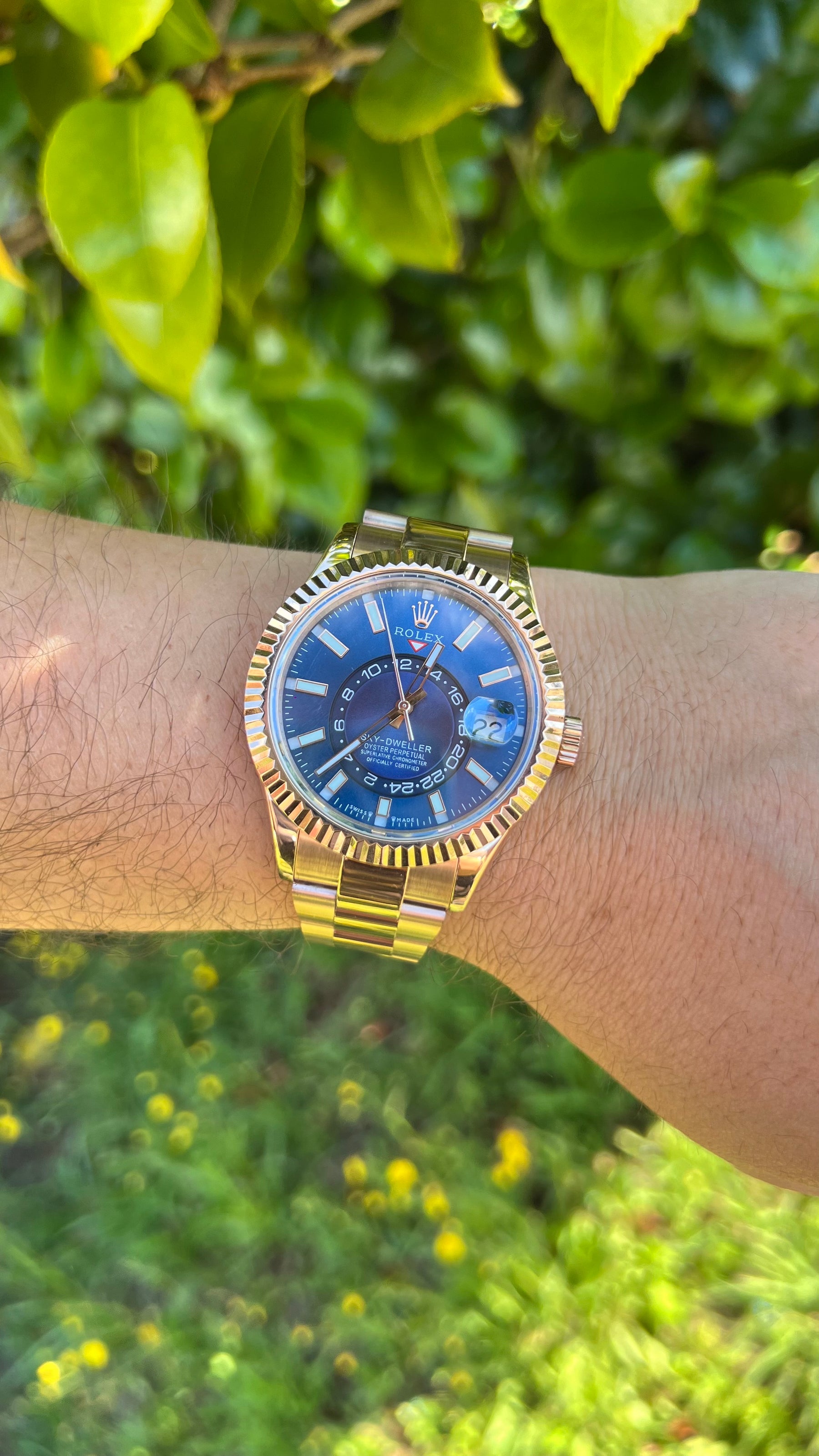 SKY-DWELLER