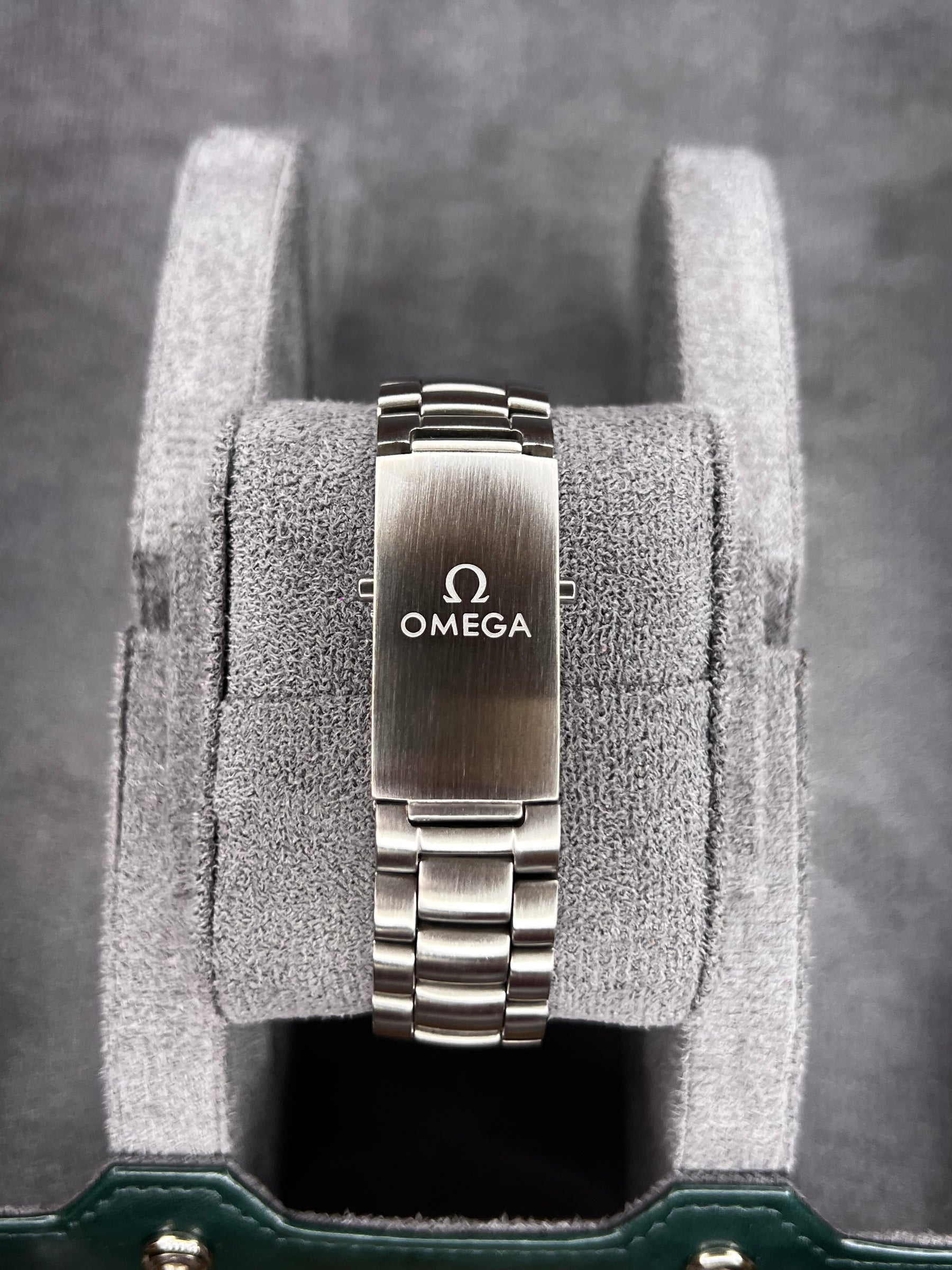 Omega Seamaster Planet Ocean