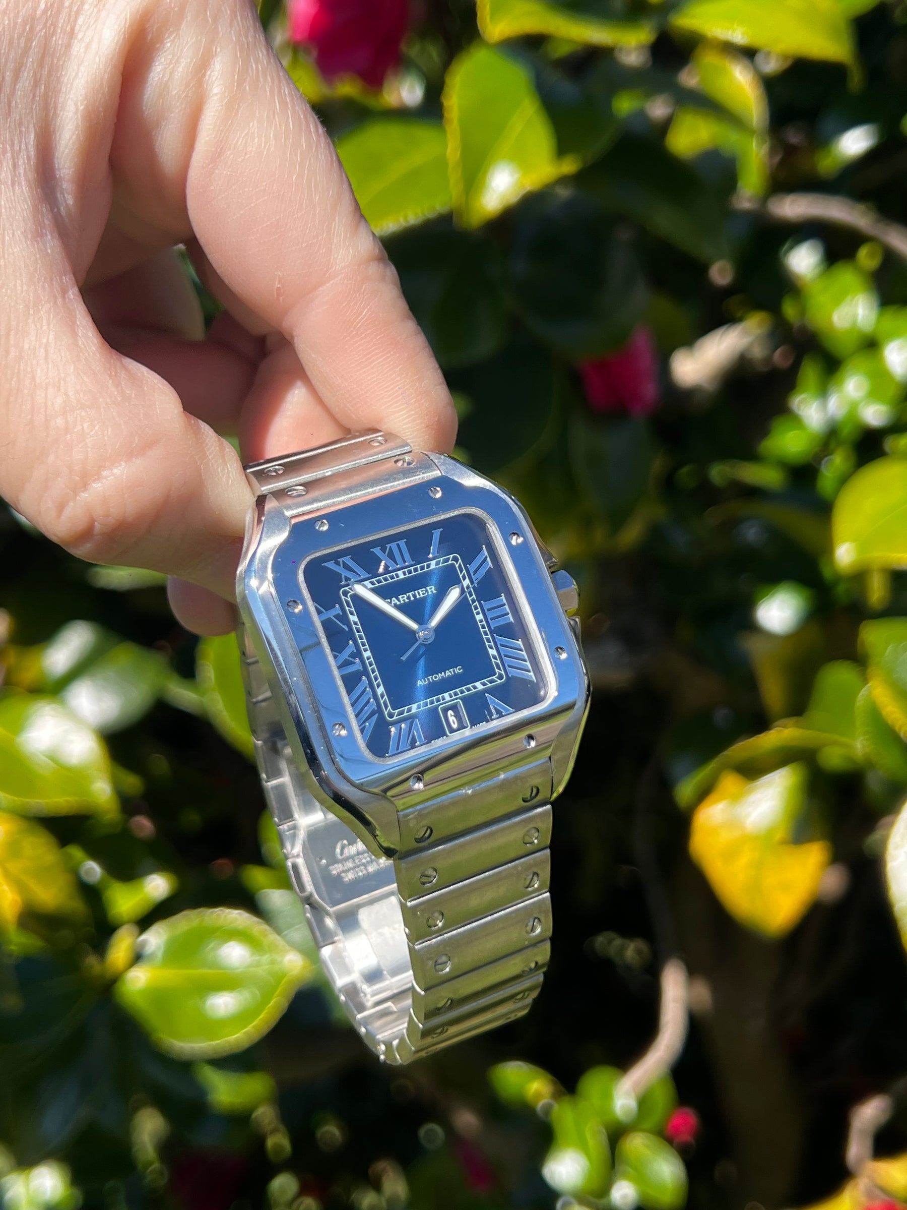 Cartier santos azul
