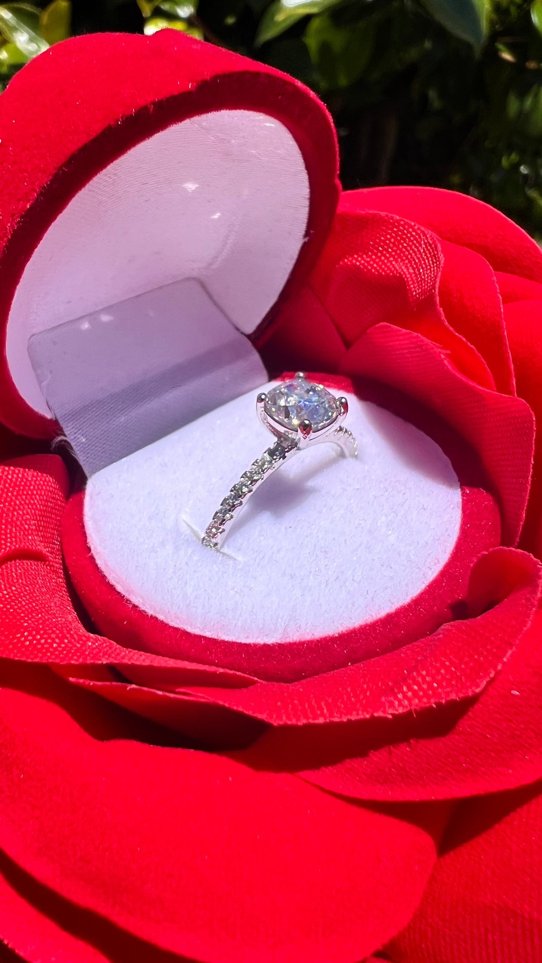 Anillo de moissanita más estuche de rosa