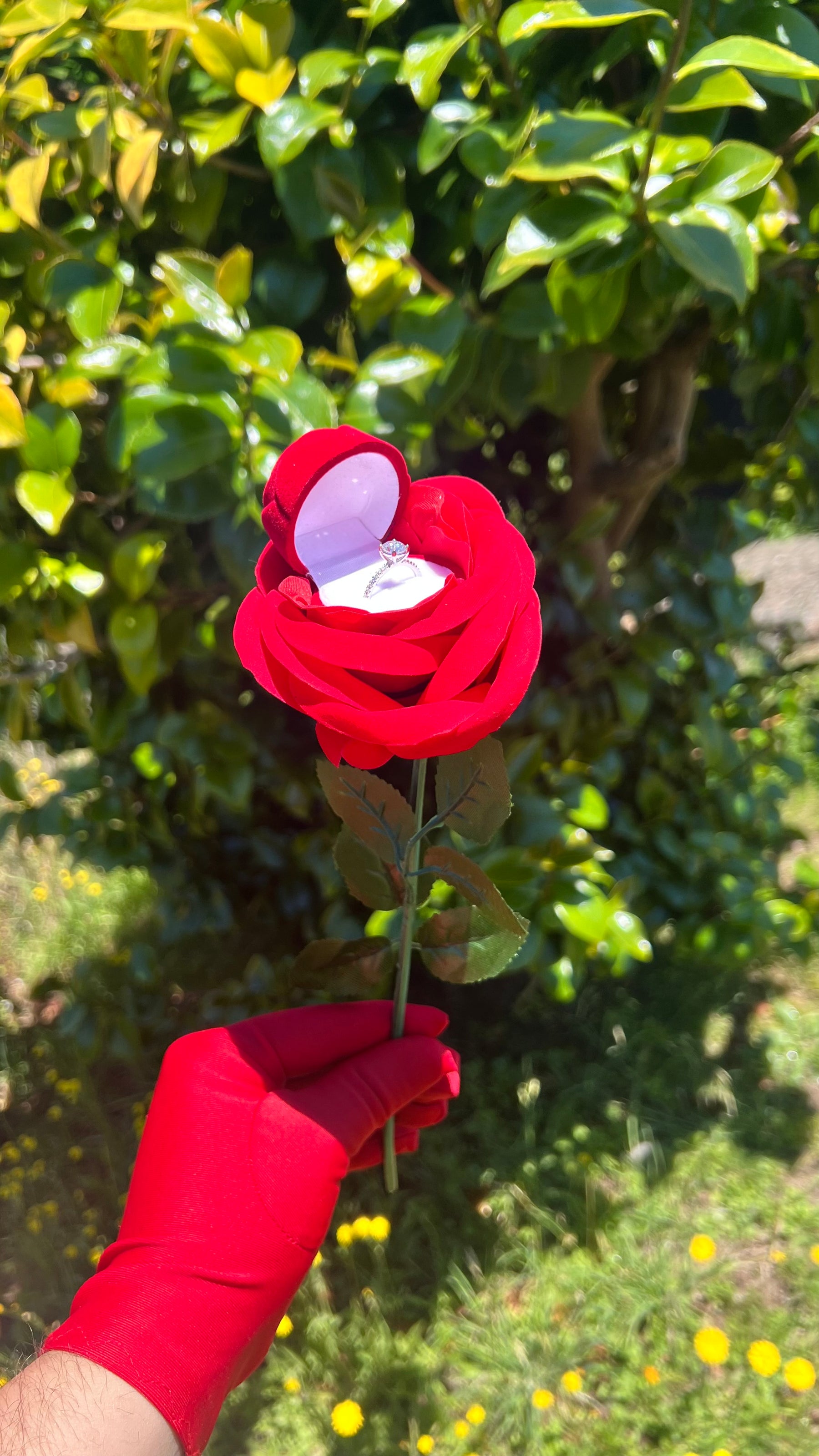 Anillo de moissanita más estuche de rosa