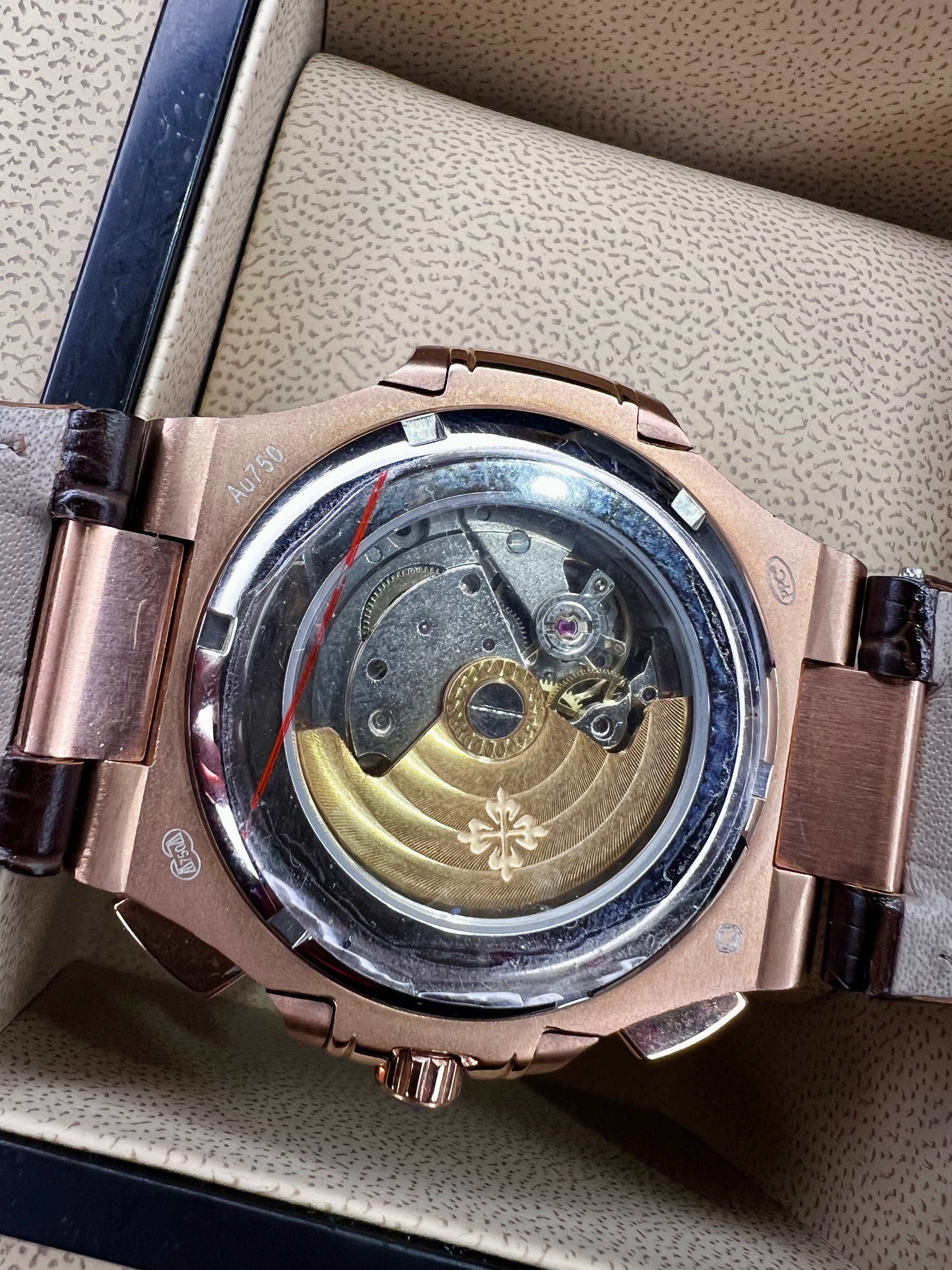 Nautilus