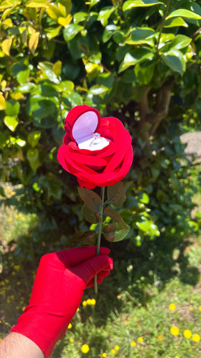 Anillo de moissanita más estuche de rosa